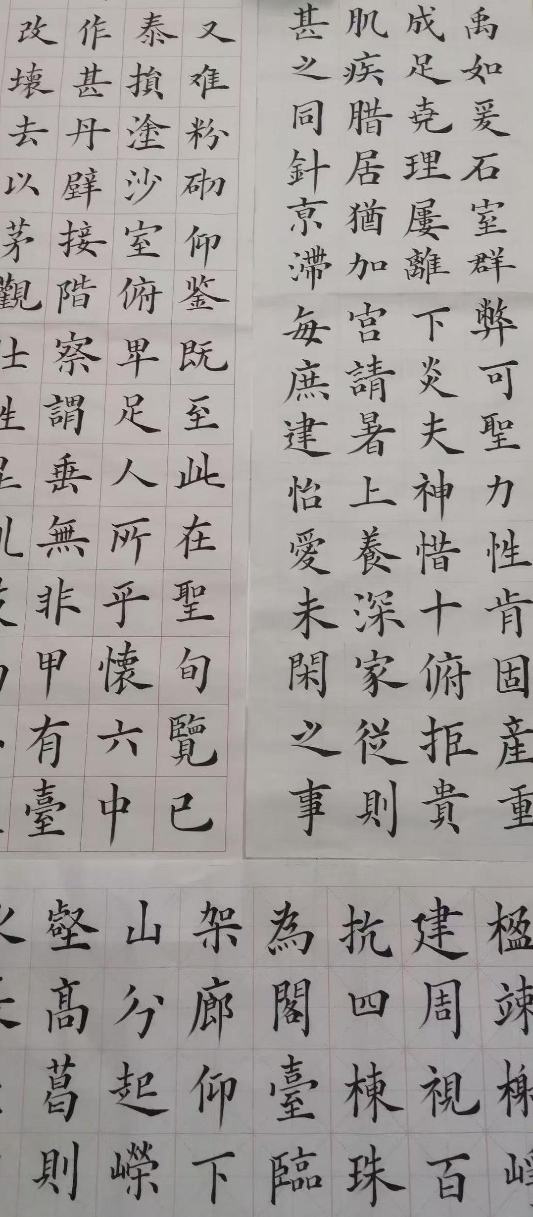 张灵奇（副主席）(图7)